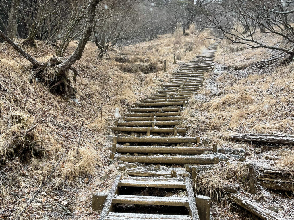 【日帰り登山】公共交通機関で蛭ヶ岳へヒルトン