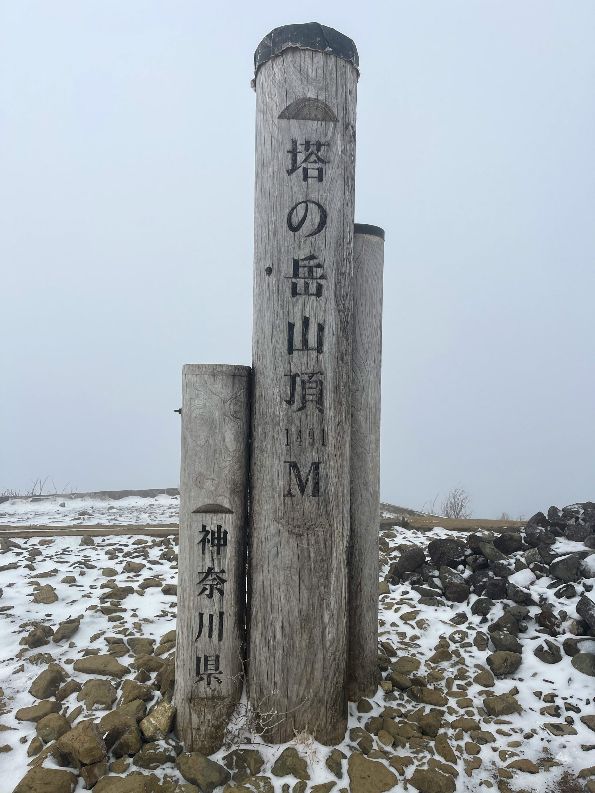 【日帰り登山】公共交通機関で蛭ヶ岳へヒルトン