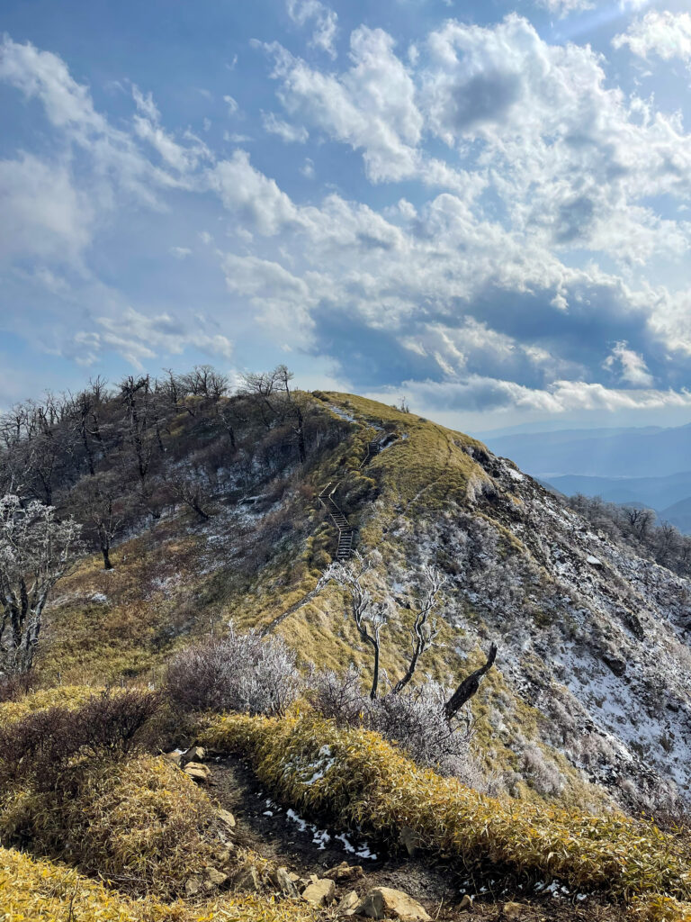 【日帰り登山】公共交通機関で蛭ヶ岳へヒルトン