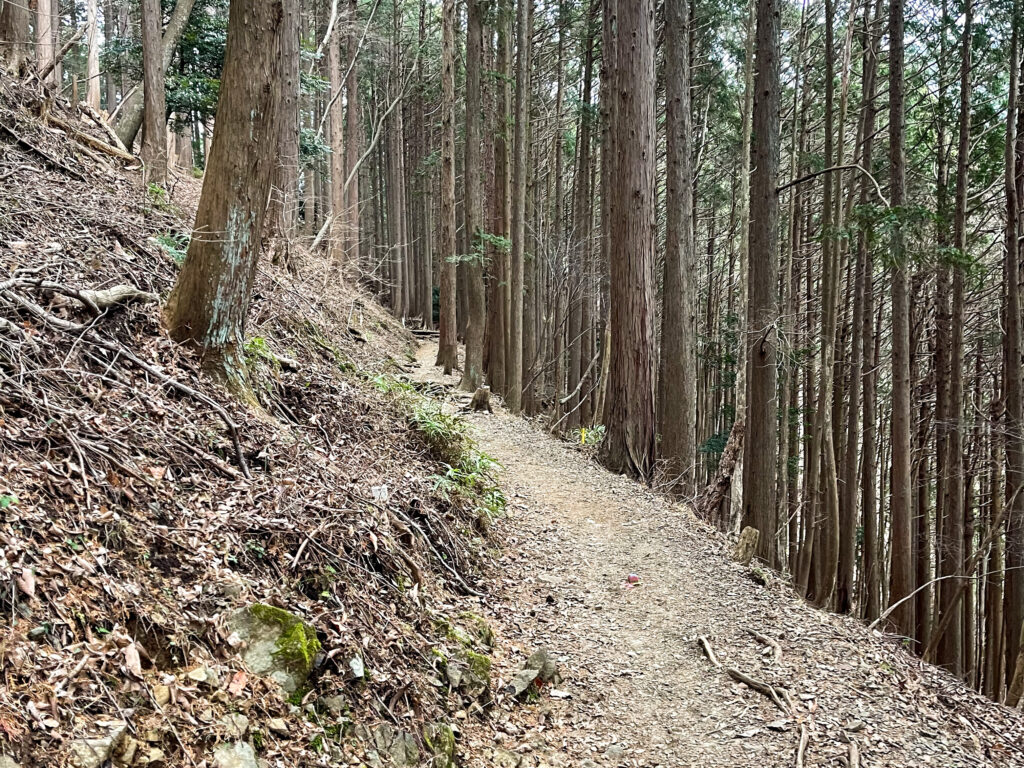 【日帰り登山】公共交通機関で蛭ヶ岳へヒルトン