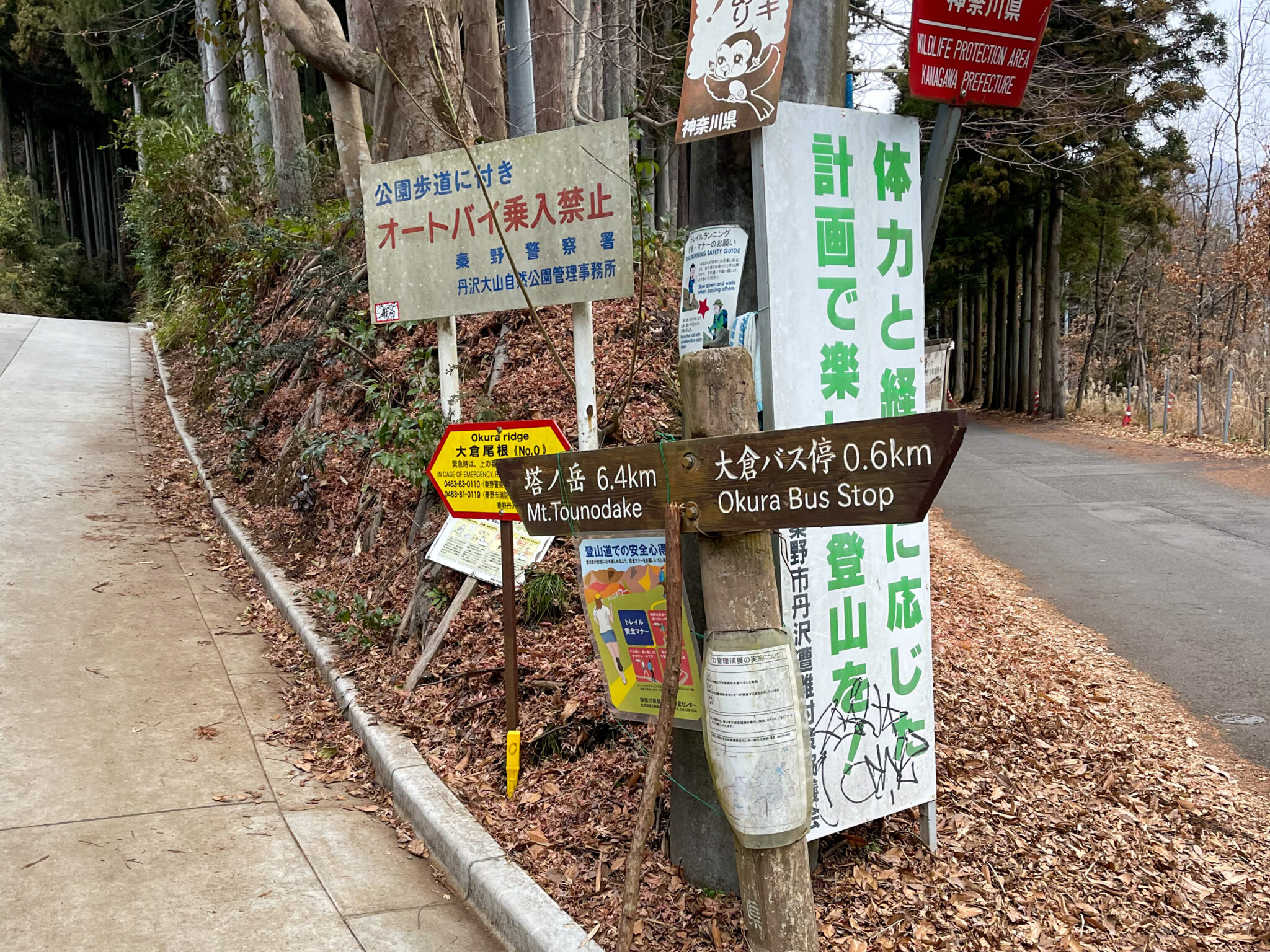 【日帰り登山】公共交通機関で蛭ヶ岳へヒルトン