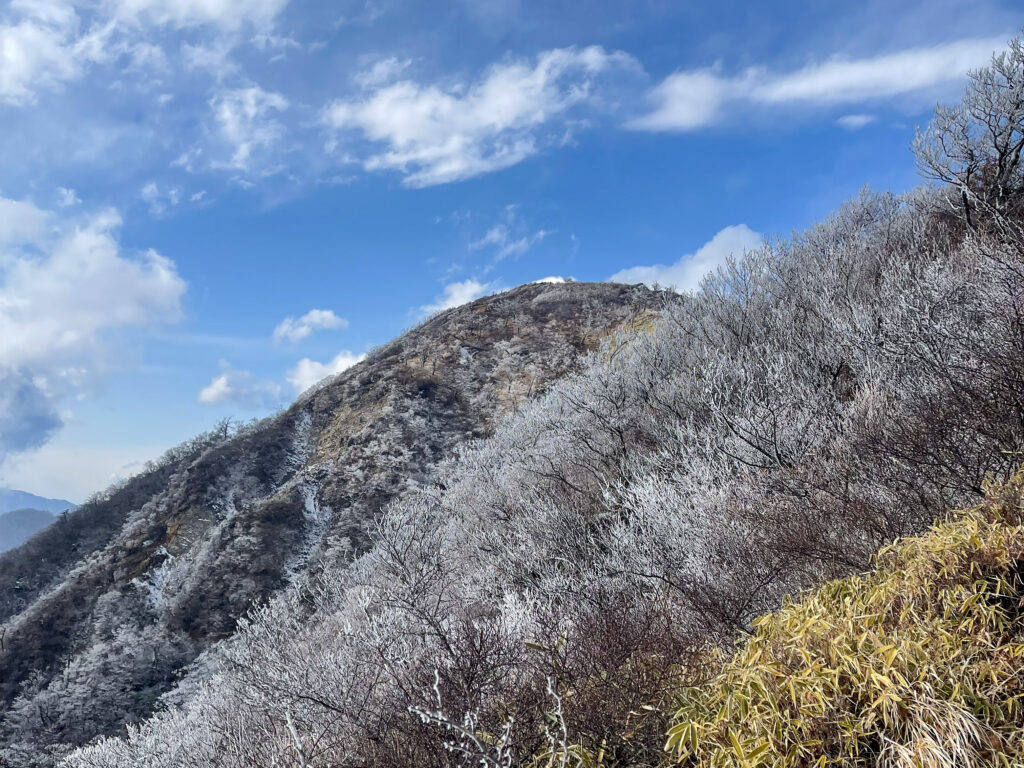 【日帰り登山】公共交通機関で蛭ヶ岳へヒルトン